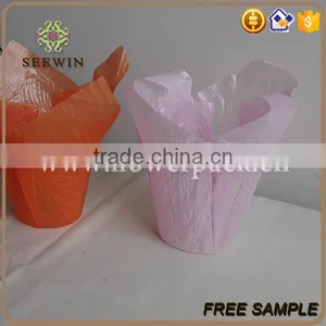 Wholesale Various Colors Bopp Plastic Flower Pot thumbnail-1