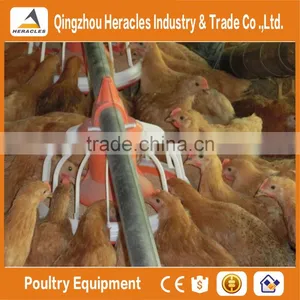 Automatic Broiler Poultry Farm Feeding and Drinking Systems & Chicken Poultry Farm Equipment thumbnail-6