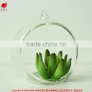 Hanging Succulents Mini Plants Artificial Glass Potted Plants thumbnail-1