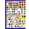 Gemstone Pendants thumbnail-1