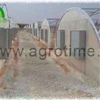 Single Tunnel Polycabonate Greenhouse thumbnail-1