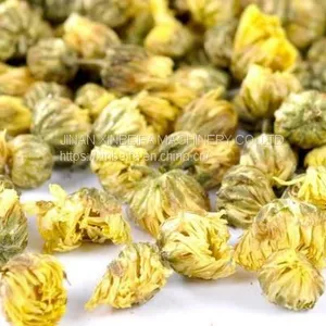 Efficient Chrysanthemum Drying Equipment thumbnail-4