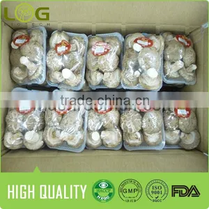 Hot Sale Smooth Surface Fresh Shiitake Mushroom thumbnail-3