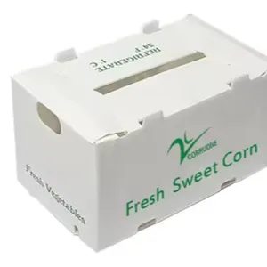 Waterproof Corrugated Plastic Produce Boxes Wholesaler From China thumbnail-4
