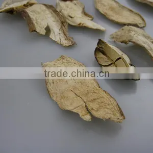 Dried Boletus Edulis Mushroom Seller thumbnail-1