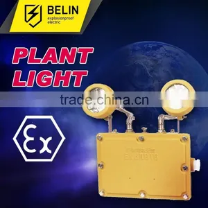 BXW6229 Energy Efficient Explosion Proof Emergency Light thumbnail-1