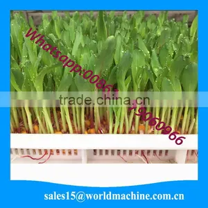 WHIR Saudi Arabia With SASO Certificate Hydroponic Hydroponics Cultivation for Growing Fodder Grass,barley,wheat thumbnail-1
