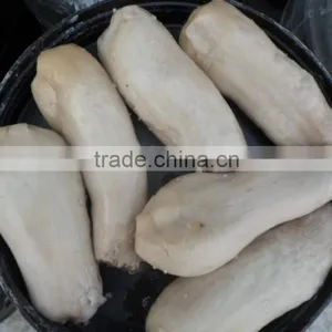 High Quality Grey Mushroom China thumbnail-1