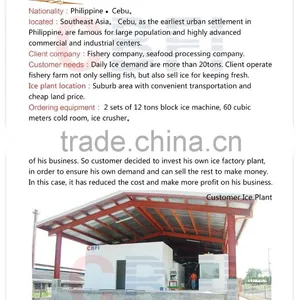 12 Tons in Philipphines Block Ice Making Machine Sale Hot thumbnail-1