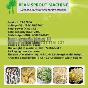 Bean Sprout Growing/automatic/machine thumbnail-4