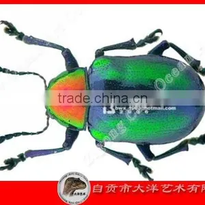 Silicone Rubber Insects thumbnail-1