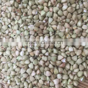 2016 New Crop High Quality Raw Buckwheat Price thumbnail-2