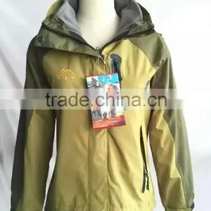 Sport Suit Women Walking Suits 880pcs in Stock thumbnail-1