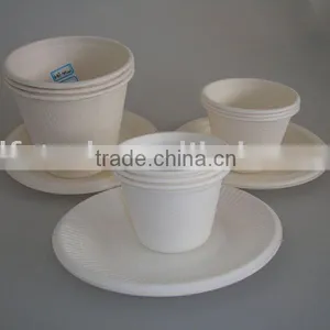 Biodegradable Cutlery thumbnail-1