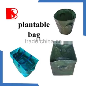 Garden Litter Collection Bag Plastic Bag PE Tarpaulin Making Wear Well Tear Strength Can be Customized thumbnail-1