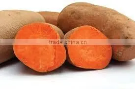 Sweet Potato thumbnail-1