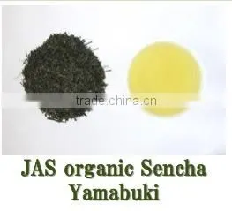JAS Organic "SENCHA Yamabuki" GREEN TEA : Organic Fist Flush Loose Leaf Teas Made in Japan thumbnail-1