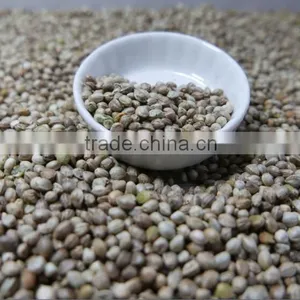 Hemp Seeds With High Quality 2016 Crop thumbnail-3