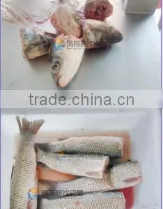 Commercial Fish Head Cutter Cutting Processing Machine thumbnail-2