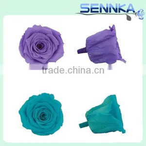Preserved Flower Wedding Gifts for Guests Preserved Blue Rose Flower thumbnail-1