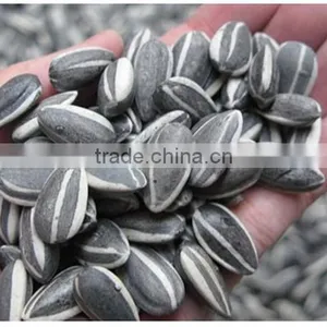 Hot Sale New Crop Chinese Sunflower Seeds thumbnail-3