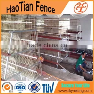 Anping Factory Manufacturer of Chicken Breeding Coop Cage Welded Chicken Cage Wire Mesh thumbnail-1