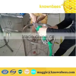 Manual Cheap Plastic Honey Extractor thumbnail-4