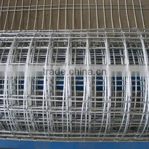 Welded Wire Mesh (30 Years Factory) thumbnail-3