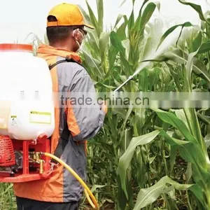 Guangzhou Suppliers Cheap 25L Petrol Knapsack Sprayer Power Agricultural Spray Equipment thumbnail-5