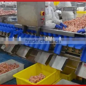 Over 20 Years Manufacturer and Focusing on Drumstick and Frozen Shrimp Automatic Weight Grader thumbnail-3