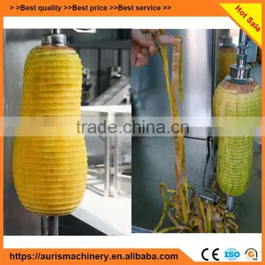 Factory Price Grapefruit/Papaya/watermelon Peeler Peel Peeling Machine thumbnail-3