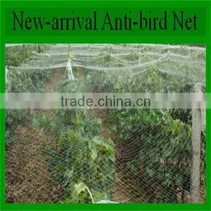Low Price pe Bird Nets for Catching Birds thumbnail-1