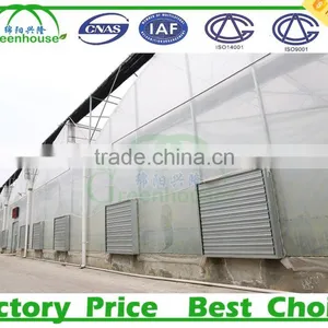 200 Micron uv Resistant Plastic Film Greenhouse for Sale thumbnail-3