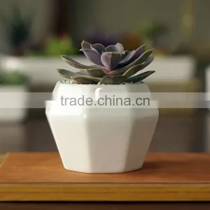 Creative Octagon White Ceramic Small Interior Decorative Pots thumbnail-1