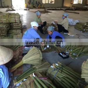 Grass Broom From Manufacturer thumbnail-1
