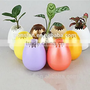 For 2015 Promotional Gift Mini Eggshell Flower Pot Plastic Injection Mould Parts thumbnail-6