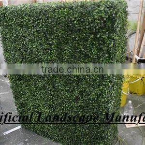 Green Grass Mate Boxwood Hedge Fence thumbnail-1
