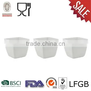 Square Plastic Flower Pot, Customize Logo Available thumbnail-1