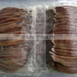 High Quality Salted Anchovy Fillet thumbnail-1