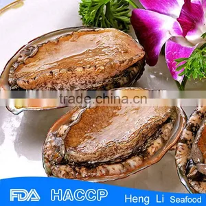 Fresh Live Frozen Abalone thumbnail-3