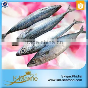 Wholesale Mackerel Frozen Foods thumbnail-1