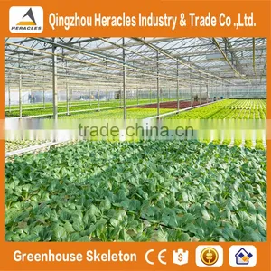 Heracles Trade Assurance Agricultural Greenhouse Skeleton thumbnail-1