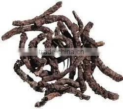 Piper Longum Dry Extract thumbnail-4