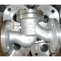 Wafer Lift Check Valve (Cast Iron)/plumbing Parts/check Valves thumbnail-1