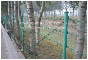 Barbed Wire thumbnail-5