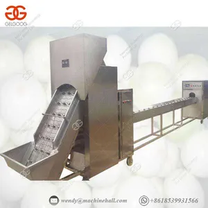 380v/415v Industrial Onion Peeling Machine Fruit And Vegetable Processing Equipment thumbnail-1