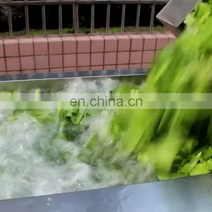 Commercial Automatic Ozone Bubble Apple Fruit and Lettuce Vegetable Washing Machine Line thumbnail-1