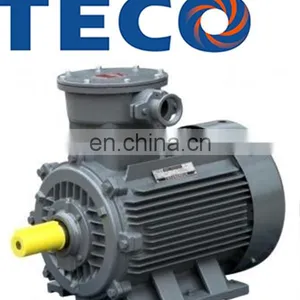 TECO Brand 0.75kW Three Phase Explosion Proof Low Voltage Electric Motor thumbnail-1