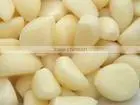 Garlic Extract thumbnail-1