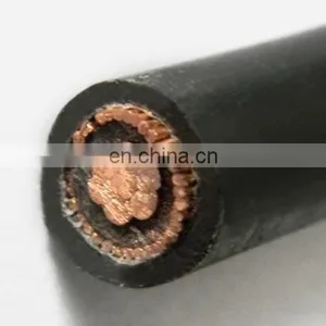 IEC Standard 2*10mm2 0.6/lKV Voltage YJV Type XLPE Insulated Power Cable thumbnail-3
